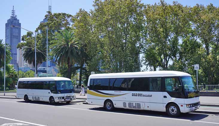 Gold Bus Mitsubishi Rosa 2